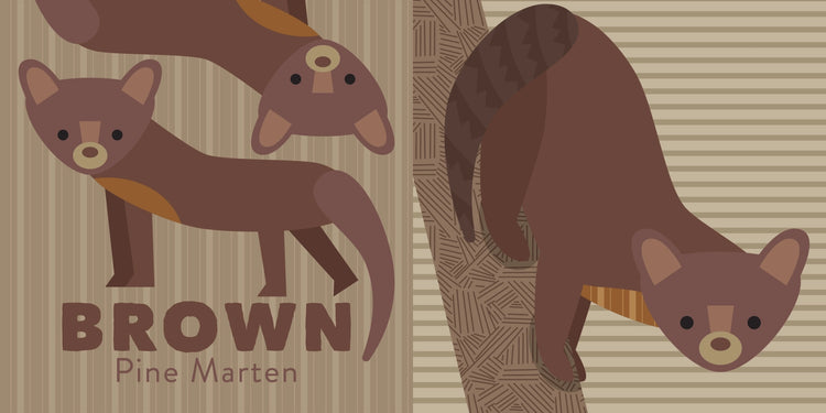 Colors Of The Pacific Northwest, Children's Board Book