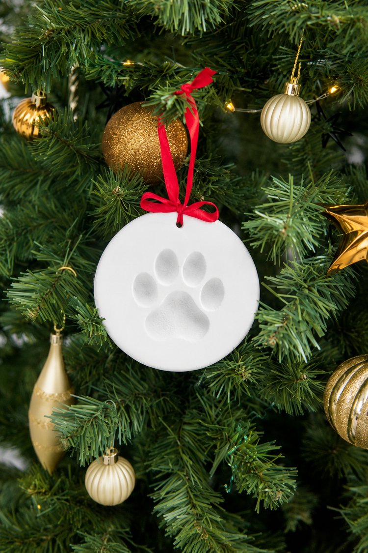 DIY Christmas Keepsake Ornament Kit | Handprint, Paw Print & Thumbprint