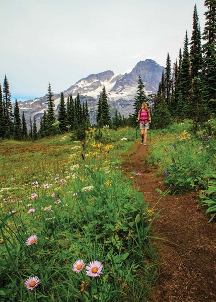 Day Hiking Mount Rainier 2nd Edition Book